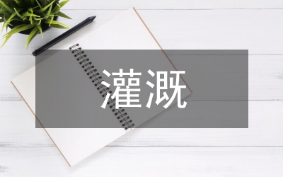 水利工程規(guī)劃設(shè)計灌溉技術(shù)分析