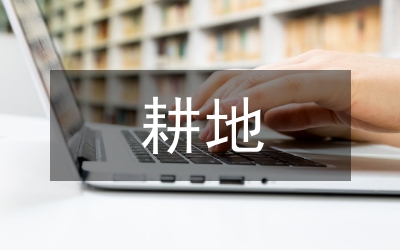 耕地地力保護補貼實施方案