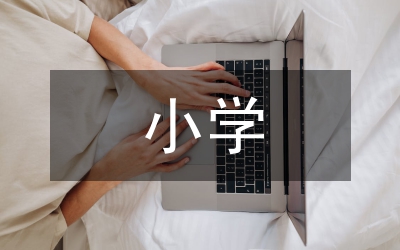 小學網絡安全預案