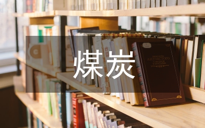 煤炭運輸工作總結