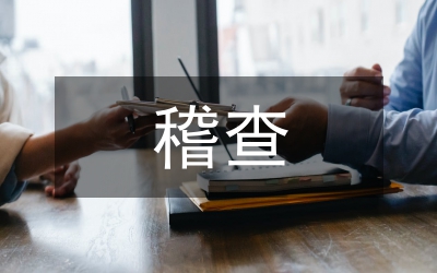 稅務局稽查工作匯報
