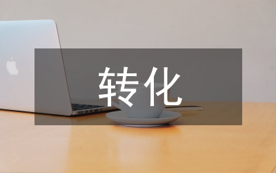 ××鎮(zhèn)××村轉(zhuǎn)化報告