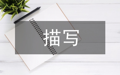 描寫春雪的詩句