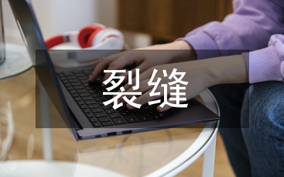 裂縫控制方案論文