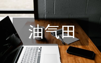 水下氣田流動管理系統功能與應用