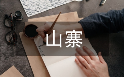 剖析山寨商品的營銷方針