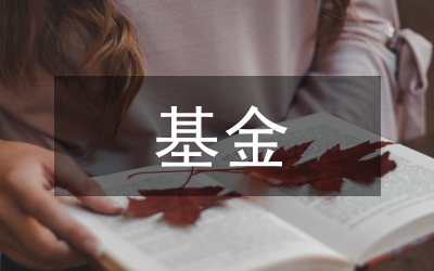 個人賬戶基金