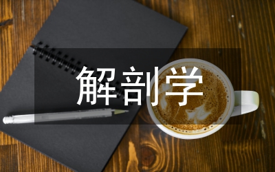醫學影像解剖學課程思政教學改革路徑