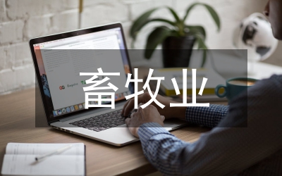 畜牧業(yè)全年工作總結(jié)