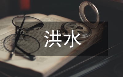 洪水泥沙管理論文