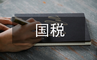 國稅會議發言