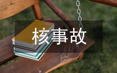 處置民用航空器飛行事故應(yīng)急預(yù)案