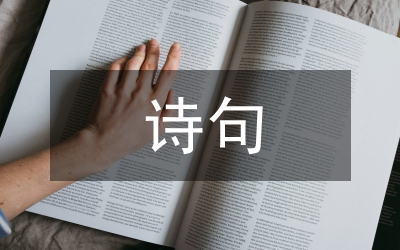 菊花的詩句