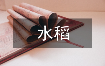 水田水稻干旱管理論文