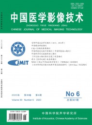 中國醫(yī)學影像技術